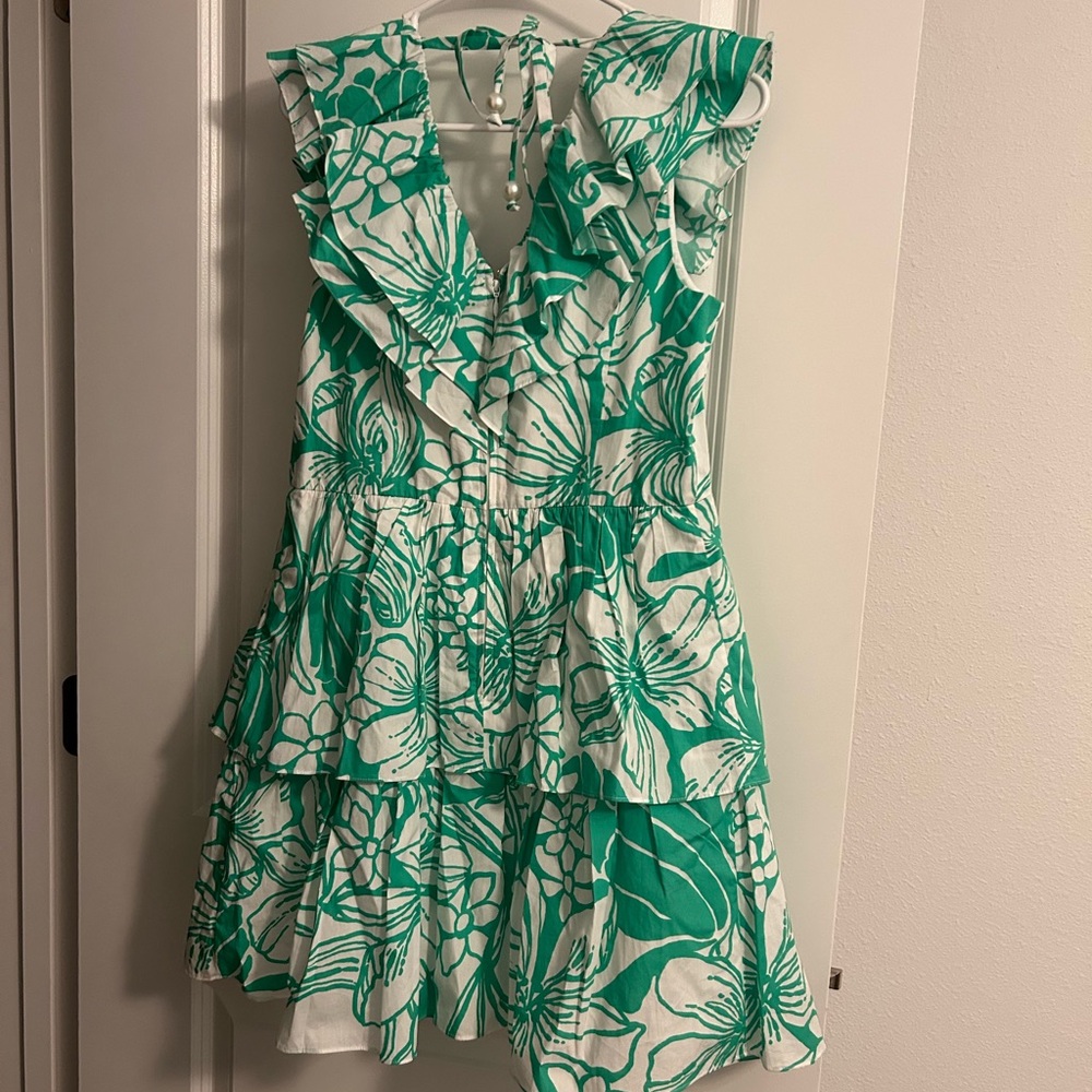 Lilly Pulitzer Green and White RitaMarie Ruffle Kiss My Tulips Dress - Picture 7 of 7